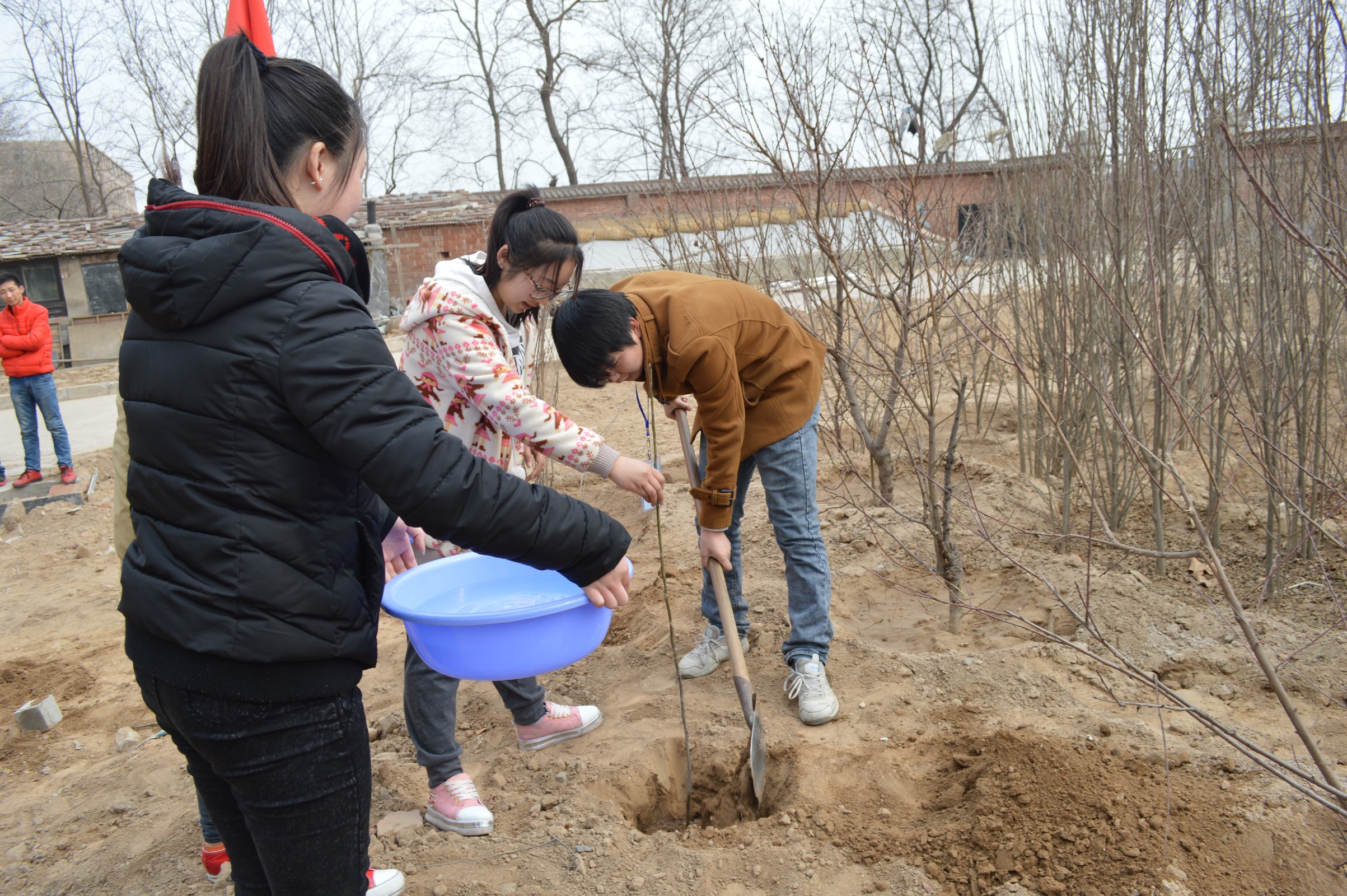 点此在新窗口浏览图片